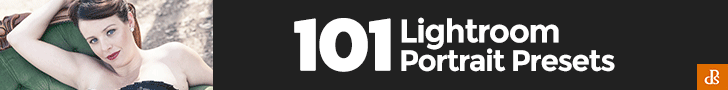 101-portrait-presets-7288x90-v1