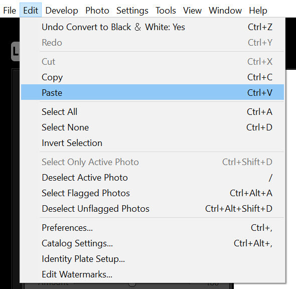 how to convert to black and white in Lightroom