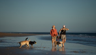 Prompt: RAW Vs EDITS