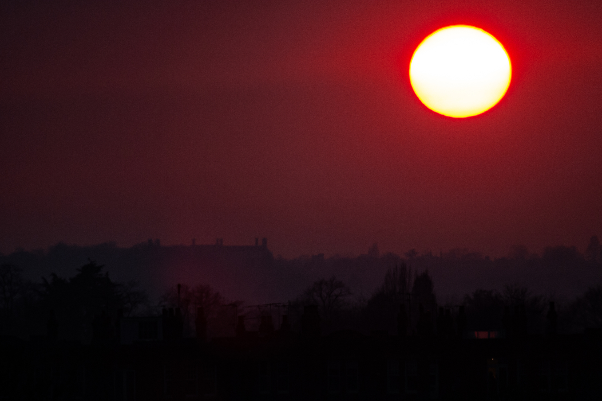 The Unseen Frame: Why Photography is More Than Just a Click