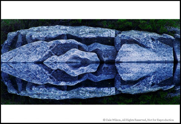 For Beginners – Learning to See