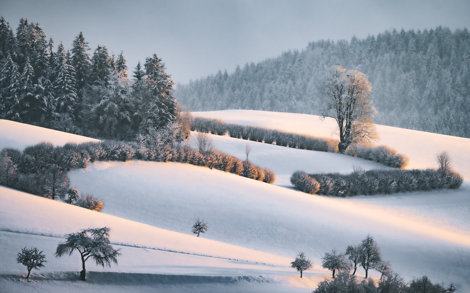 landscape photography tips snow at golden hour