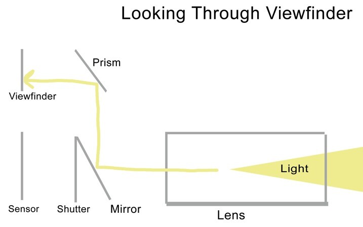 Looking viewfinder - The dPS Absolute Beginner&rsquo;s Guide to Photography