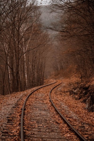 deep depth of field train tracks in forest
