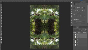 How to Mirror an Image in Photoshop (Step By Step)