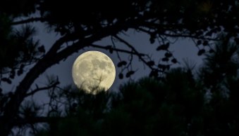 Essential Tips for Editing Your Moon Photos in Lightroom