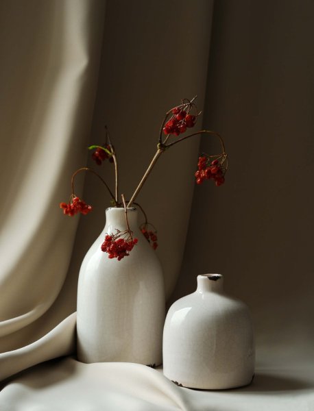 still life photography lighting vases and berries