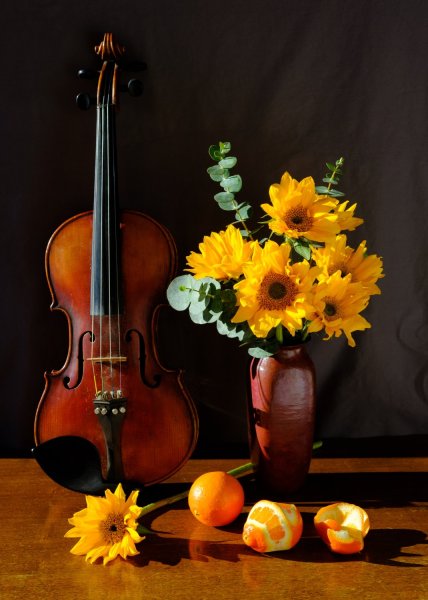 violin, flowers, and oranges on a table