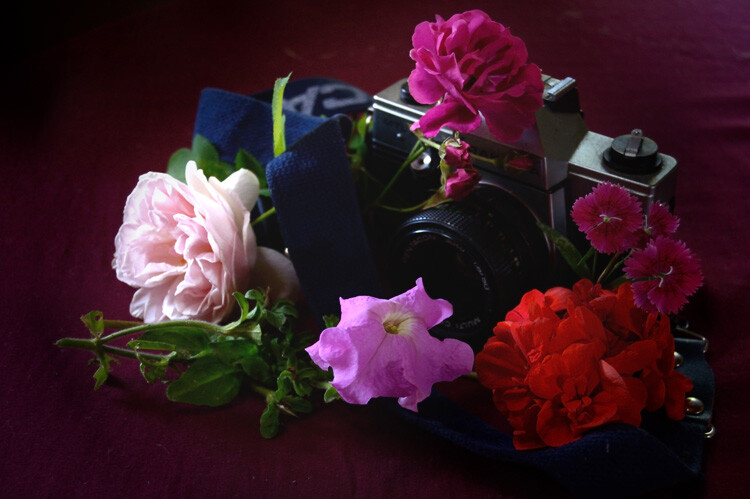 camera with flowers still life