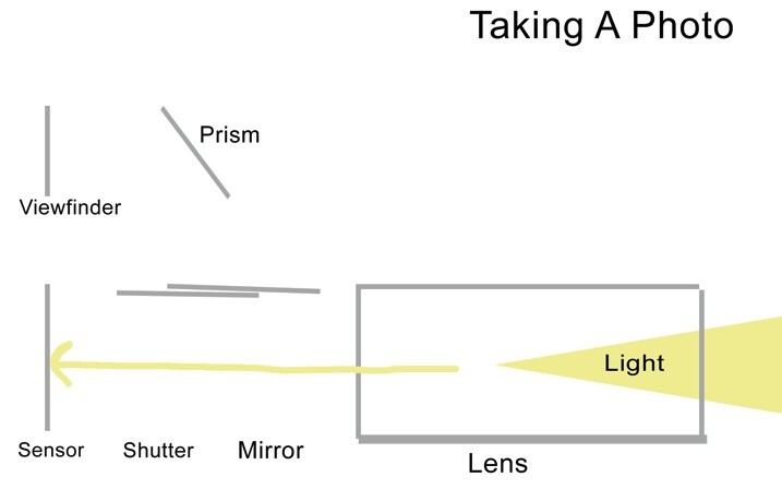 Taking photo - The dPS Absolute Beginner&rsquo;s Guide to Photography