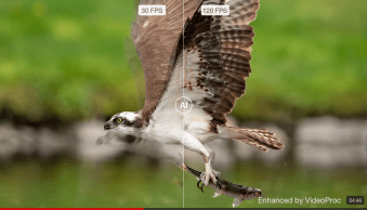 Bring Your Old Photos Back to Life with VideoProc Converter AI