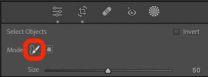 Lightroom Object Selection, screenshot with Brush mode clearly identified.